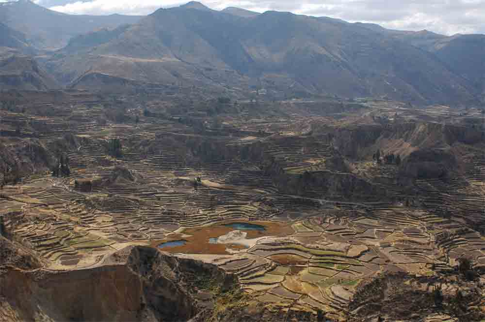 171 - Peru - valle del Colca
